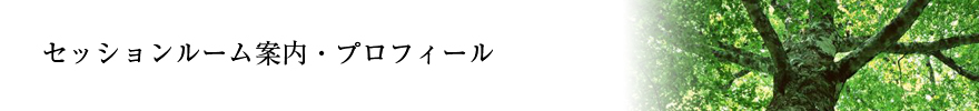 セッションルーム案内・プロフィール